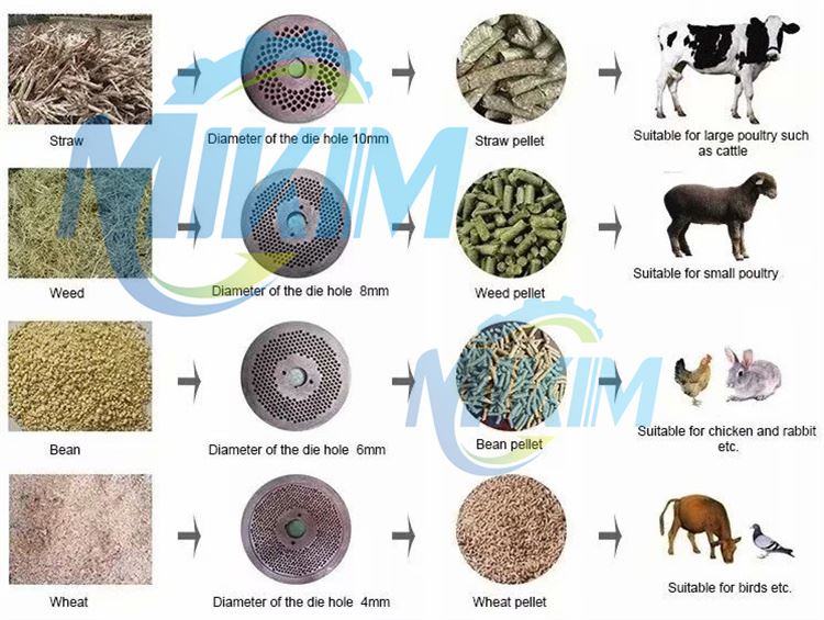 pellet-feed-machine-7