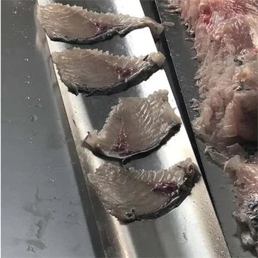 100kg-automtic-stainless-steel-frozen-fish 100kg-automtic-stainless-steel-frozen-fish