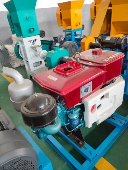 Medium-sized Feed Extruder