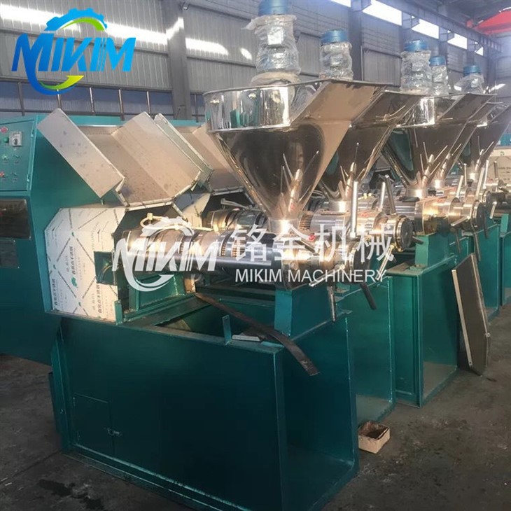 Screw Oil Press Machine Price