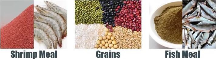 raw Material raw Material